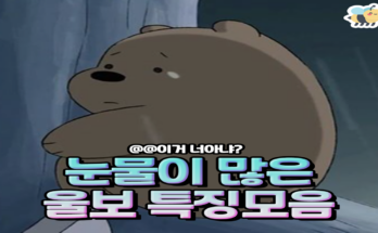 눈물이 많은 울보 특징모음