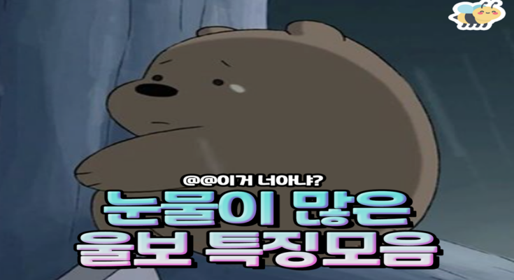 눈물이 많은 울보 특징모음