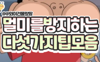 멀미를 방지하는 다섯가지팁모음